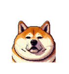 無言で伝える太っちょ柴犬2（個別スタンプ：20）