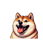 無言で伝える太っちょ柴犬2（個別スタンプ：22）