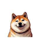 無言で伝える太っちょ柴犬2（個別スタンプ：25）