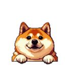 無言で伝える太っちょ柴犬2（個別スタンプ：28）