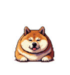 無言で伝える太っちょ柴犬2（個別スタンプ：31）