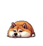 無言で伝える太っちょ柴犬2（個別スタンプ：34）