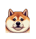 無言で伝える太っちょ柴犬2（個別スタンプ：35）