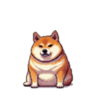 無言で伝える太っちょ柴犬2（個別スタンプ：39）