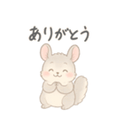 ふわふわチンチラの感情スタンプ（個別スタンプ：4）