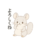 ふわふわチンチラの感情スタンプ（個別スタンプ：17）