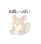 ふわふわチンチラの感情スタンプ（個別スタンプ：25）