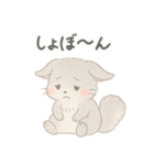 ふわふわチンチラの感情スタンプ（個別スタンプ：31）