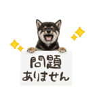 ゆるかわ！豆しばの日常スタンプ（個別スタンプ：7）