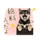 ゆるかわ！豆しばの日常スタンプ（個別スタンプ：12）