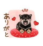 ゆるかわ！豆しばの日常スタンプ（個別スタンプ：32）