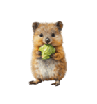 八百屋のクオッカ(野菜編)（個別スタンプ：8）