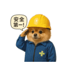 リアルなポメラニアンの職業スタンプ（個別スタンプ：2）