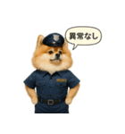リアルなポメラニアンの職業スタンプ（個別スタンプ：4）