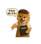 リアルなポメラニアンの職業スタンプ（個別スタンプ：9）
