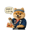 リアルなポメラニアンの職業スタンプ（個別スタンプ：12）