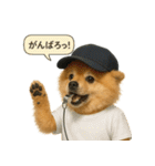 リアルなポメラニアンの職業スタンプ（個別スタンプ：17）