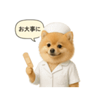 リアルなポメラニアンの職業スタンプ（個別スタンプ：21）