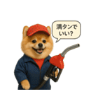 リアルなポメラニアンの職業スタンプ（個別スタンプ：29）