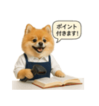 リアルなポメラニアンの職業スタンプ（個別スタンプ：30）