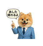 リアルなポメラニアンの職業スタンプ（個別スタンプ：36）