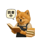 リアルなポメラニアンの職業スタンプ（個別スタンプ：38）