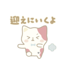 にしきねこの防災スタンプ（個別スタンプ：24）