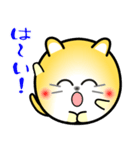 nobobi 丸いネコニャン（個別スタンプ：19）