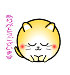 nobobi 丸いネコニャン（個別スタンプ：24）
