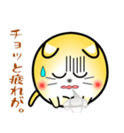 nobobi 丸いネコニャン（個別スタンプ：32）