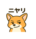 ブラウンコーギーの日常(毎日使える！)（個別スタンプ：4）