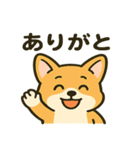 ブラウンコーギーの日常(毎日使える！)（個別スタンプ：5）
