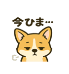 ブラウンコーギーの日常(毎日使える！)（個別スタンプ：9）