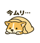 ブラウンコーギーの日常(毎日使える！)（個別スタンプ：10）