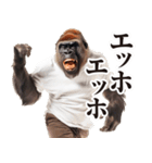 リアクション！ゴリラ（個別スタンプ：1）