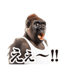 リアクション！ゴリラ（個別スタンプ：2）