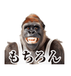リアクション！ゴリラ（個別スタンプ：4）