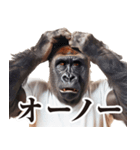 リアクション！ゴリラ（個別スタンプ：18）