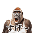 リアクション！ゴリラ（個別スタンプ：38）
