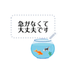 金魚とビー玉 夏の花スタンプ 改訂版（個別スタンプ：12）