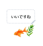 金魚とビー玉 夏の花スタンプ 改訂版（個別スタンプ：13）