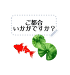 金魚とビー玉 夏の花スタンプ 改訂版（個別スタンプ：16）