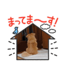 チロル＆チョコ 15（個別スタンプ：20）