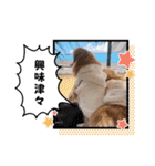 チロル＆チョコ 15（個別スタンプ：23）