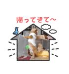 チロル＆チョコ 15（個別スタンプ：26）