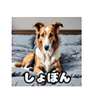 気まぐれボルゾイ40表情パック（個別スタンプ：3）