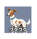 気まぐれボルゾイ40表情パック（個別スタンプ：4）