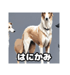 気まぐれボルゾイ40表情パック（個別スタンプ：8）