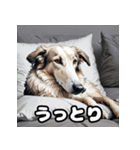 気まぐれボルゾイ40表情パック（個別スタンプ：10）