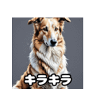 気まぐれボルゾイ40表情パック（個別スタンプ：13）